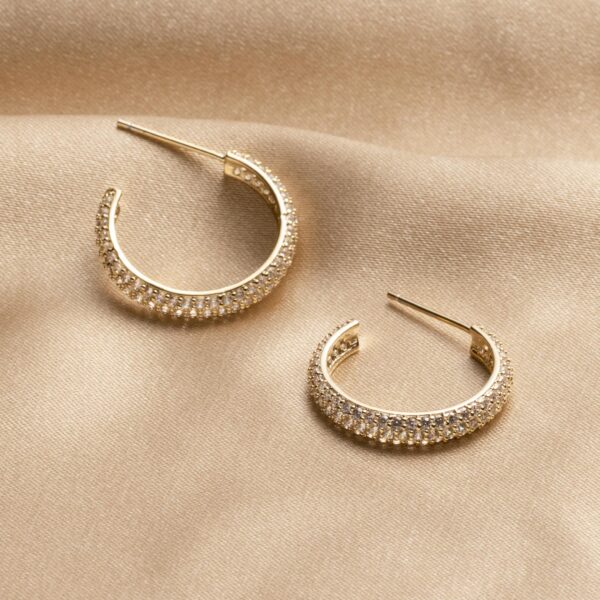 Shiny Round Hoops